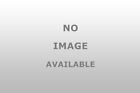 37 Wagner Lighting Standard Miniature 042723400385