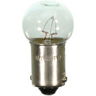 42723400040 57 Wagner Instrument Panel Light