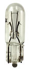 73-bp Eiko Standard Lamp Blister