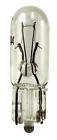 74-bp Eiko Instrument Panel Light