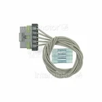 Standard Ignition Body Wiring Harness Connector S2018. Fixed Price $58.38.