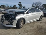 Used Daytime Running Light Fits: 2019 Hyundai Sonata Bumper Moun. Fixed Price $86.50.