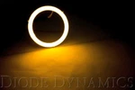 Daytime Running Light Circuit Board Diode Dynamics DD2061. Fixed Price $134.95.