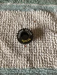 Jeep Cj Commando Transmission T-86AA 2ND Gear 65 To 69. Fixed Price $30.00.