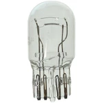 Tail Bulb Wagner Lighting BP7443LL. Fixed Price $8.93.