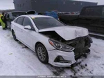 Used Daytime Running Light Fits: 2018 Hyundai Sonata Bumper Moun. Fixed Price $384.19.