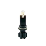 Oem Nissan Altima Quest Infiniti Jx Qx Parking Clearance Socket Light Bulb. Fixed Price $24.95.