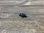 2018-2020 Volkswagen Tiguan Front Windshield Rain Humidity Sensor 5Q0955547B Oem. Fixed Price $91.99.