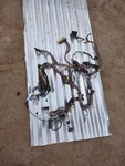 1995-97 Jaguar XJ6 Xjr X300 Dashboard Facia Wire Wiring Harness. Fixed Price $129.50.